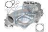 MAN 51065006608 Water Pump